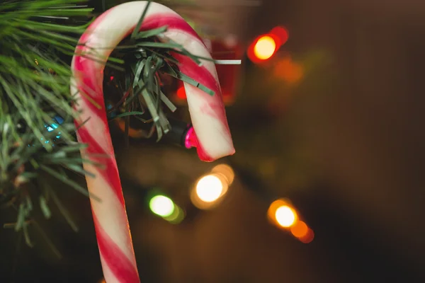 挂在圣诞树上的糖果手杖 — 图库照片