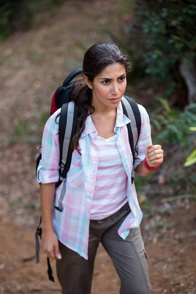 Caminhante feminina caminhando na floresta — Fotografia de Stock