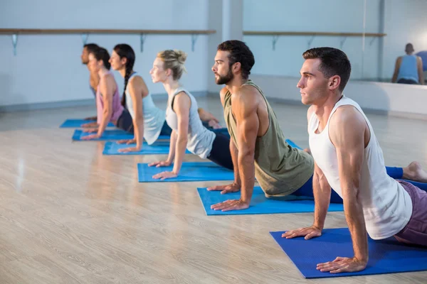 Bir grup insan yoga gerçekleştirme — Stok fotoğraf