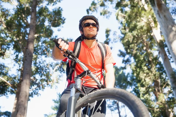 Masculino mountain biker andar de bicicleta na floresta — Fotografia de Stock