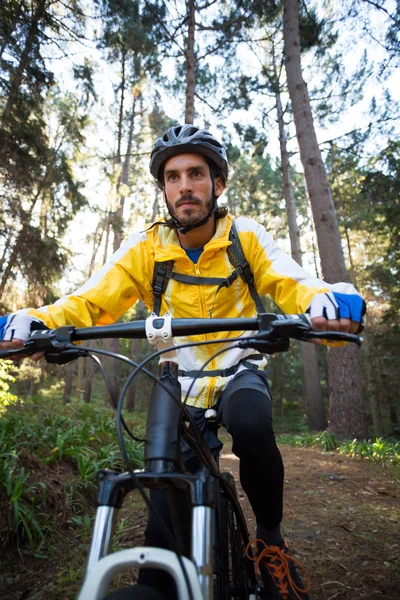 Muž cyklista na kole v přírodě — Stock fotografie