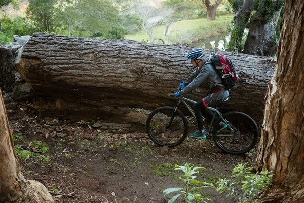 Mannelijke mountain biker fietsten in het bos — Stockfoto