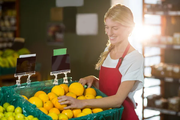 Pessoal que verifica os frutos na secção orgânica — Fotografia de Stock