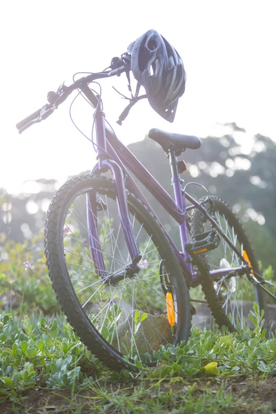 A füvön parkolni kerékpár — Stock Fotó