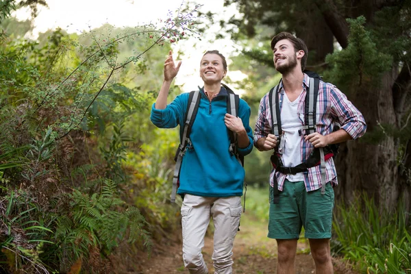 Caminhante casal apontando para a distância — Fotografia de Stock