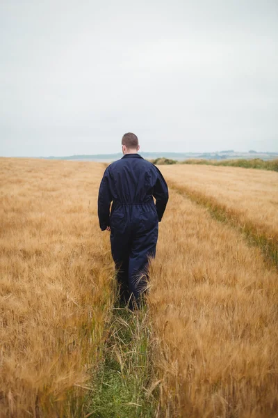 Contadino a piedi nel campo — Foto Stock