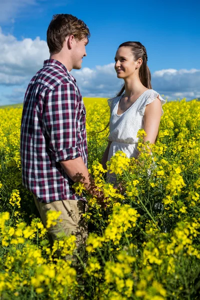 Casal olhando um para o outro no campo de mostarda — Fotografia de Stock