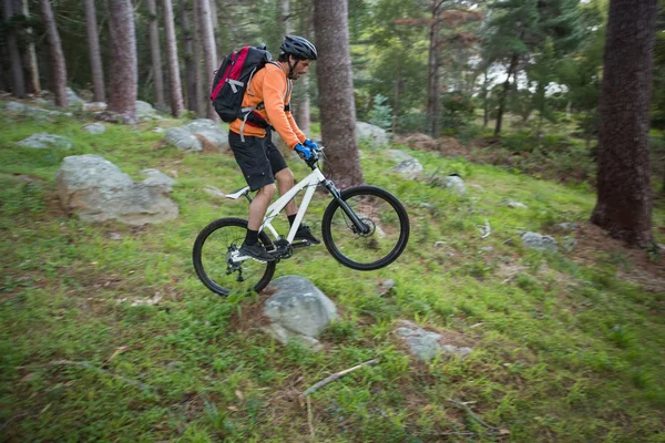 Erkek dağ bisikletçinin binicilik bisiklet — Stok fotoğraf