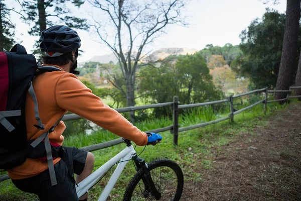 Erkek dağ bisikletçinin binicilik bisiklet ormanda — Stok fotoğraf