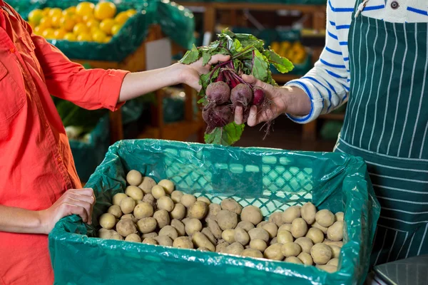 Personel pomoc Kobieta w wyborze świeże buraki na desce — Zdjęcie stockowe