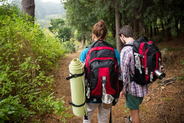 Uzun yürüyüşe çıkan kimse çift ormanda hiking — Stok fotoğraf