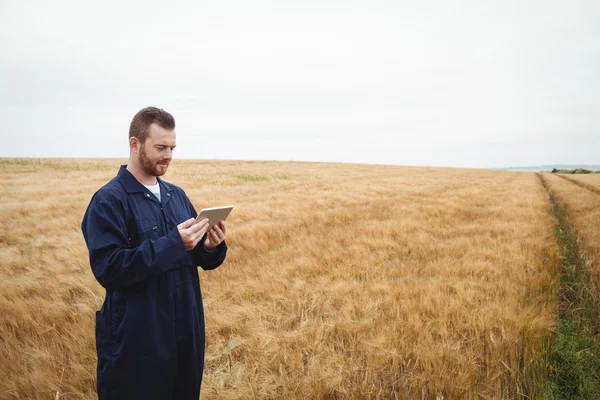 Agriculteur utilisant une tablette numérique sur le terrain — Photo