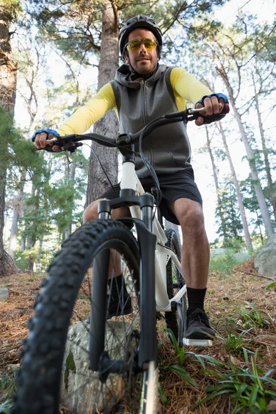 Portret mężczyzna mountain biker jazdy rower w lesie — Zdjęcie stockowe
