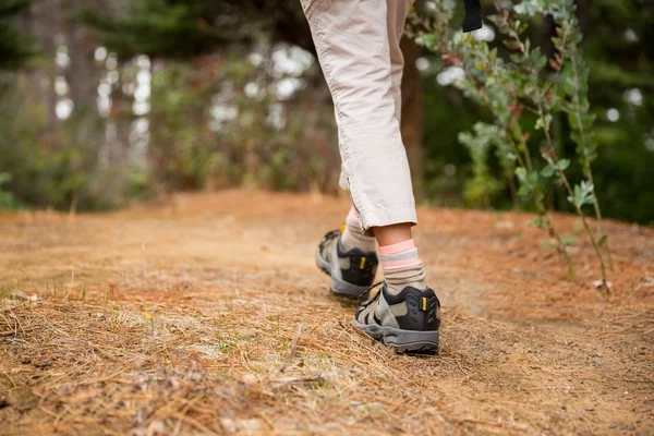 Kvinnliga vandrare vandring i skogen — Stockfoto