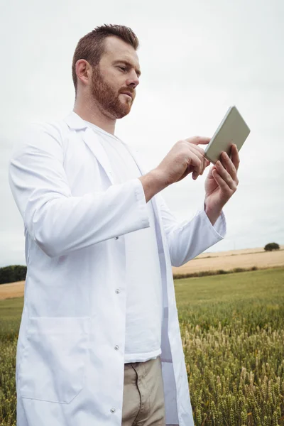 Landbouwingenieur met digitale tablet in het veld — Stockfoto