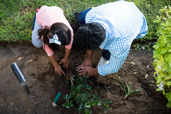 Vader en dochter planten van een boom — Stockfoto