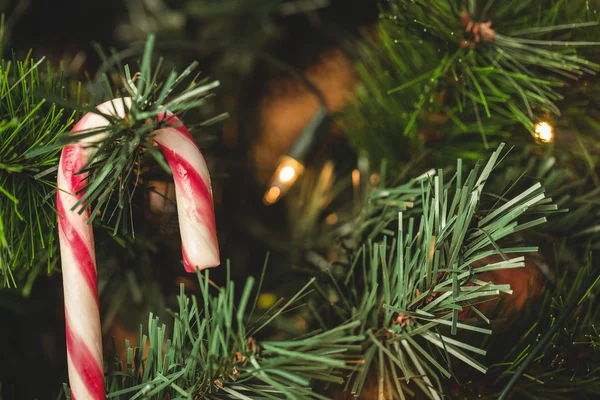 Bastón de caramelo colgando en el árbol de Navidad — Foto de Stock