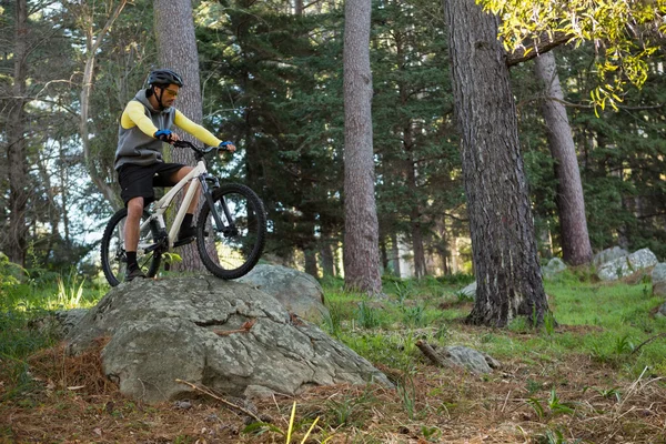 Mężczyzna mountain biker jazdy na rowerze w lesie — Zdjęcie stockowe