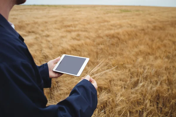 Thoughtful farmer with arms crossed in field — Stock Photo, Image