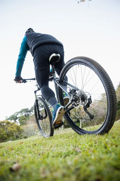 Male mountain biker riding bicycle — Stock Photo, Image
