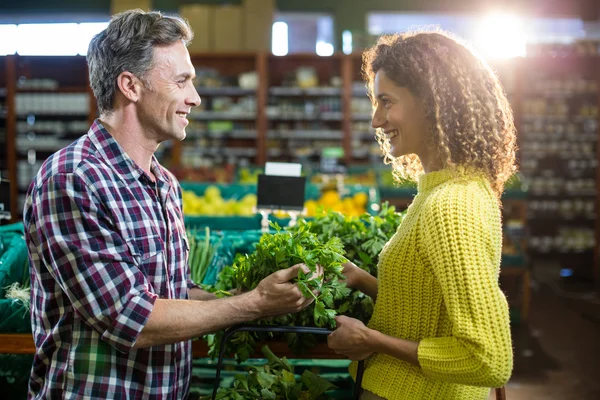 Pareja comprando verduras en sección orgánica — Foto de Stock