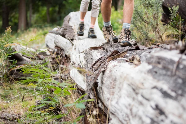 Hiker couple walking on tree trunk — Stock Photo, Image