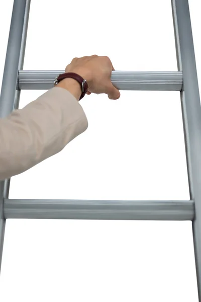 Zakenvrouw bedrijf ladder — Stockfoto