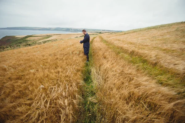 Landwirt überprüft seine Ernte auf dem Feld — Stockfoto