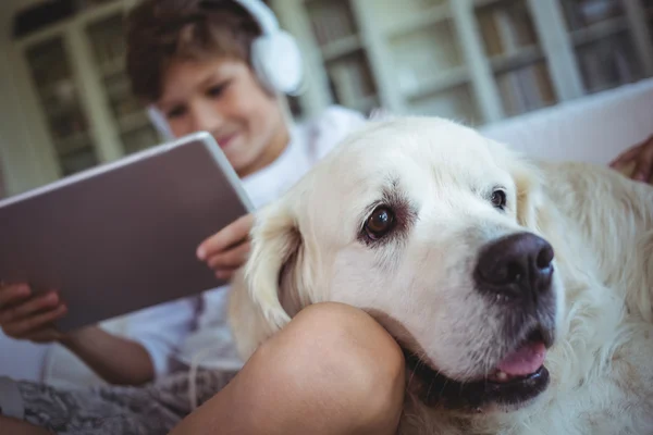 Jongen met huisdier hond luisteren naar muziek — Stockfoto