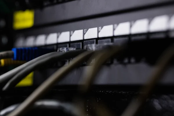 Nahaufnahme des in der Buchse angeschlossenen Ethernet — Stockfoto