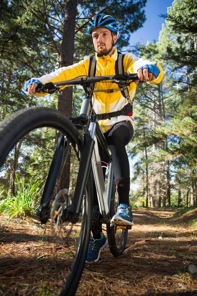 Männlicher Mountainbiker fährt Fahrrad — Stockfoto