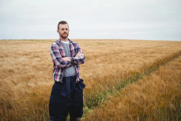 Farmář, stál s rukama zkříženýma v poli — Stock fotografie