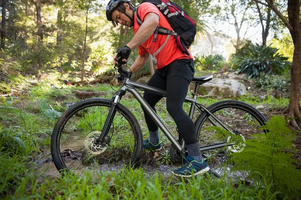 Masculino mountain biker andar de bicicleta na floresta — Fotografia de Stock