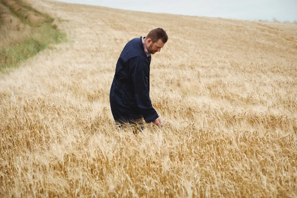 Agricoltore che controlla le sue colture in campo — Foto Stock