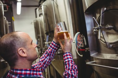 Brewery worker inspecting beer in glass clipart