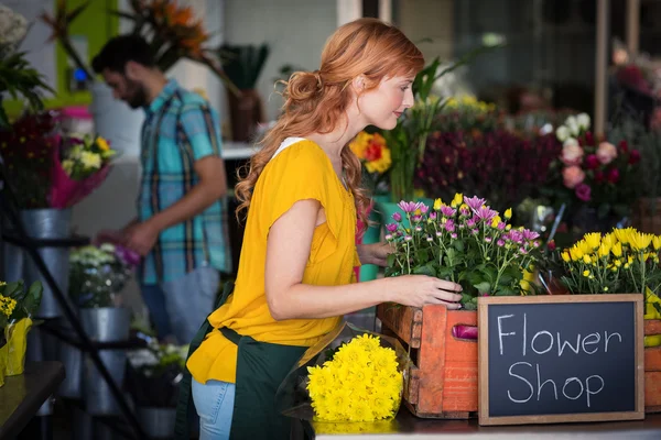Blumenhändler arrangiert Blumenstrauß — Stockfoto