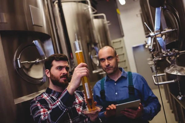 Fabricante inspeccionando cerveza en tubo con trabajador — Foto de Stock