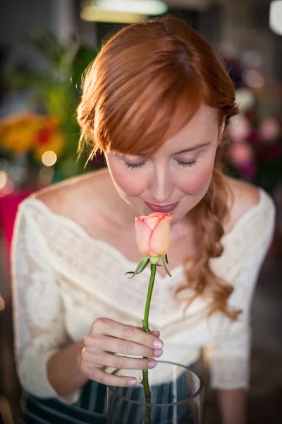 Bloemist geurende roze bloem — Stockfoto