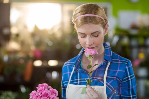 Florist smelling pink rose — Stockfoto