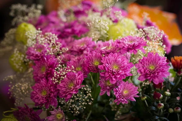 Квіти в квітковому магазині — стокове фото