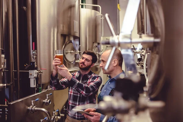 Propietario y trabajador examinando cerveza en vidrio —  Fotos de Stock