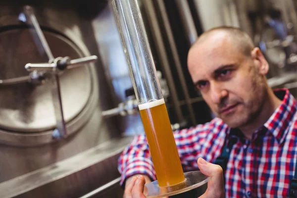 Propriétaire inspectant la bière dans un tube en verre — Photo