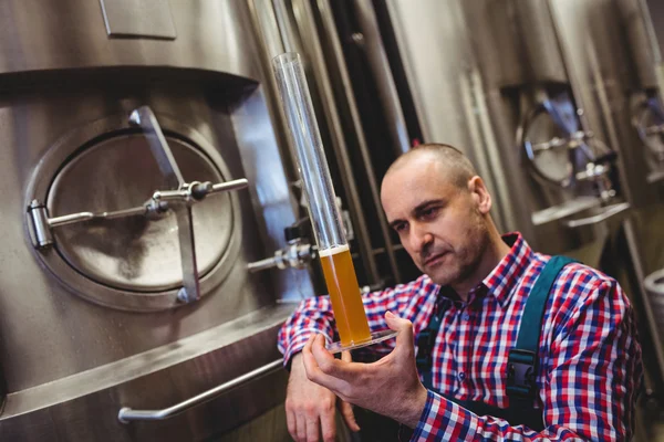 Fabricante inspecionando cerveja em tubo de vidro — Fotografia de Stock