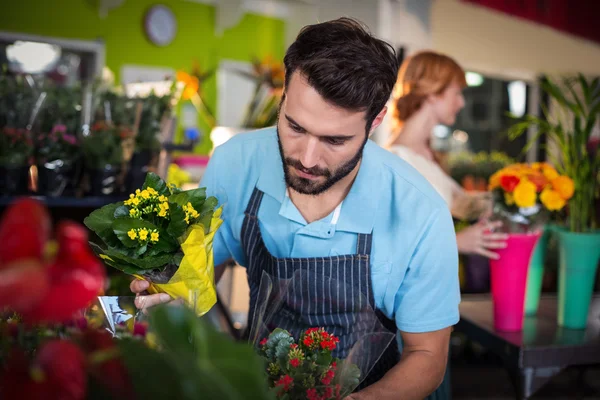 Florist arranging flower bouquet — Stock fotografie