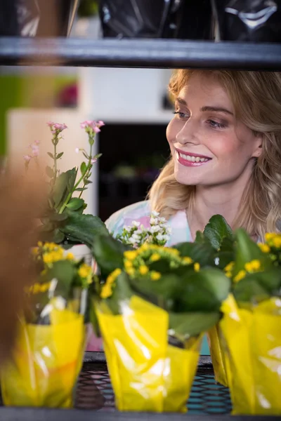 Florist arranging flower bouquet — ストック写真