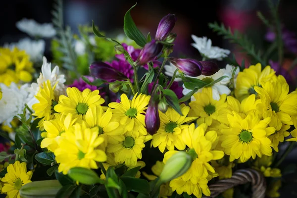 Beautiful flowers in the shop — Stock Photo, Image