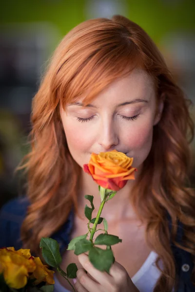 Bloemist geurende roze bloem — Stockfoto