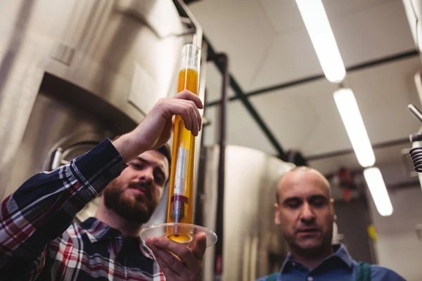 Fabricante examinando cerveja em tubo na cervejaria — Fotografia de Stock