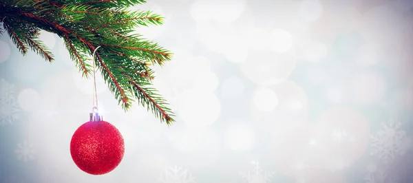 Röd christmas småsak hängande från gren — Stockfoto