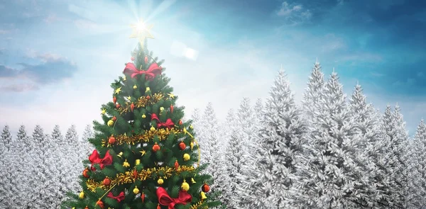 Vánoční strom v zasněženém lese — Stock fotografie